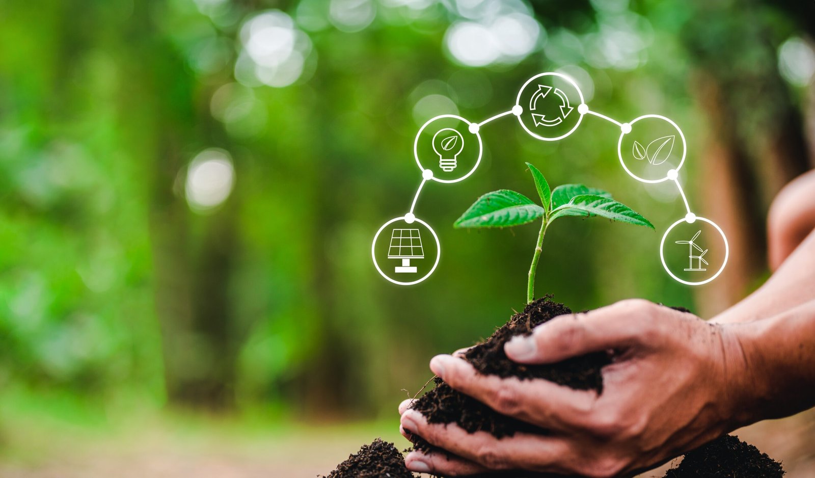 eco,,environmental,,global,,ecological,,sustainable,,planet,,biology,,neutral,,climate,change,