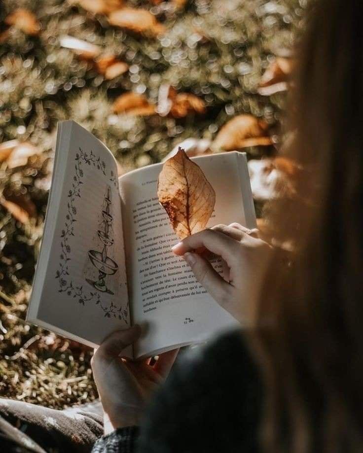 Libro abierto entre los árboles